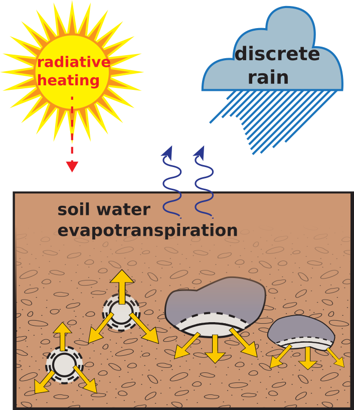 Yellow arrows indicate carbonate formation (nodules and pendants). Illustration help from Landon Burgener.